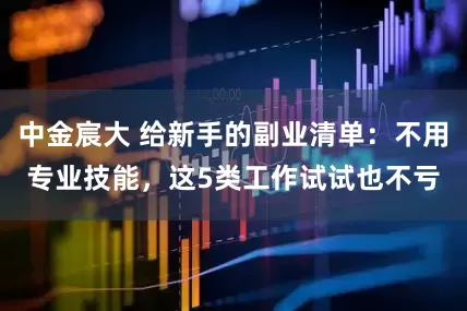 中金宸大 给新手的副业清单：不用专业技能，这5类工作试试也不亏