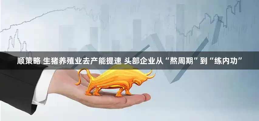 顺策略 生猪养殖业去产能提速 头部企业从“熬周期”到“练内功”